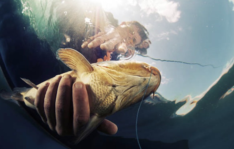 有一位兒子特愛釣魚,媽媽殺魚殺到生無可戀。(示意圖/pixabay免費圖庫)