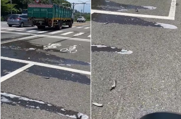 十幾隻魚在路上活繃亂跳,被路人拍下這奇景。(合成圖/翻攝路上觀察學院臉書)