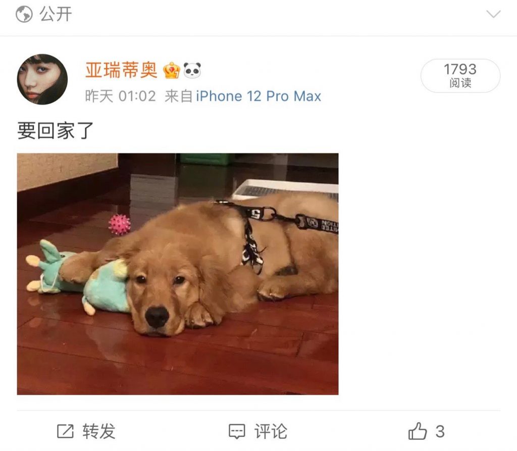 中國近日發生一起寵物託運死亡意外。(圖/擷取自微博)