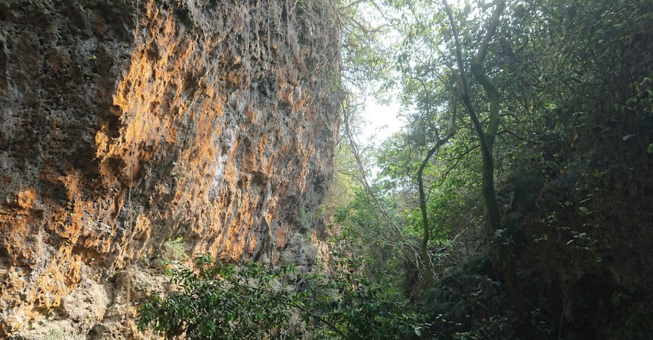 余翁摔落柴山,最終遺體在中山大學旁被尋獲。(圖/翻攝自Google Map)