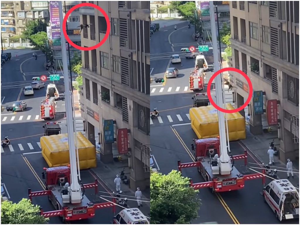 消防員乘坐雲梯車至6樓男子旁邊，但對方似乎不聽勸，仍以蹲姿懸掛在女兒牆外側，中途甚至還伸出雙腳垂放，僅剩雙手抓著欄杆，直到懸掛半空沒多久，男子竟突然放開手，下一秒狠狠急墜1樓。（圖／擷取自《爆廢公社二館》臉書）