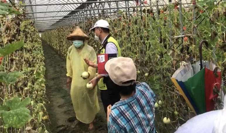 陳吉仲進入溫室視察農損，陷入軟泥中摔了一跤。（圖／中天提供）