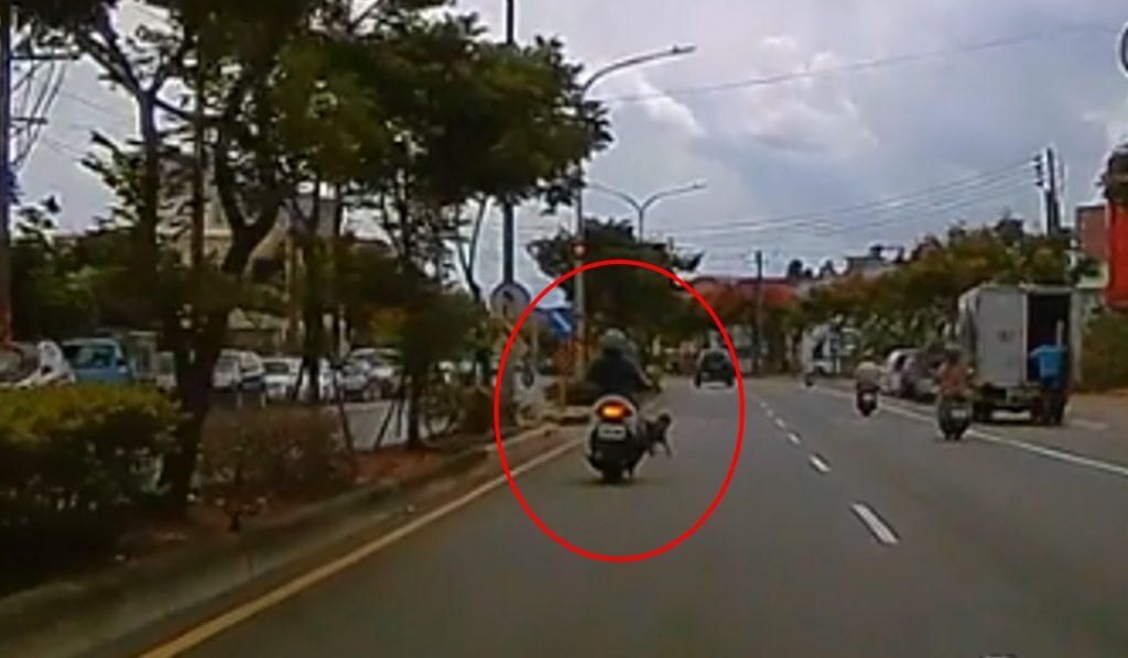 小孩站腳踏板因不明原因跌倒，差點摔出車外。（圖／翻攝自臉書／爆怨公社）