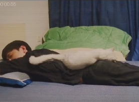 飼主將整條棉被都捲到自己身上，被吵醒的貓咪跳了起來。（圖 ／ TikTok@petgt ）