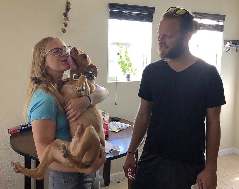 比特犬巴德在去年兩歲時被墨西哥的收容所拯救,當時牠的下巴受到嚴重感染,呈現腐爛的狀況,原以為應該活不久了,沒想到後來經過手術,巴德就奇蹟般活過來了。(圖/翻攝bud_the_pitbullIG)