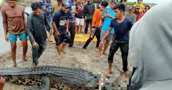 印尼1名女童被鱷魚吞下肚，當朋友發現時，僅看見她的頭顱在水面上漂。（圖／翻攝自微博）