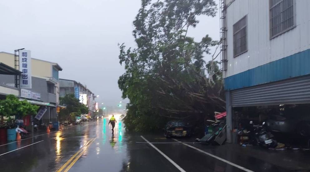 台東發生樹木倒塌、壓傷汽車駕駛事件。（圖／警方提供）