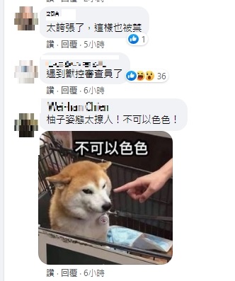 視網膜柴犬被判色情貼文，引發網友熱議。（圖／翻攝臉書）