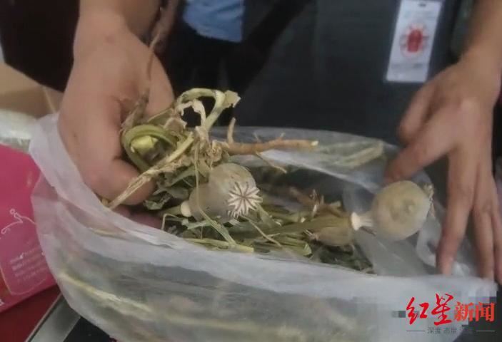 ▲羊肉店老闆為了讓湯頭更好喝,在燉煮時放入了「罌粟」。(圖/翻攝自紅星新聞)