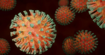 染疫後恐併發1症狀，細胞將被破壞，COVID病毒竟在裡面繁殖。（圖／示意圖／取自Pixabay）