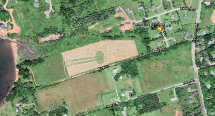 網友在Google Maps上發現一個「神秘圖案」。（圖／翻攝自Reddit）