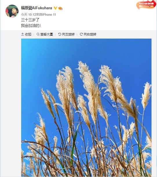 (圖/翻攝自微博)
