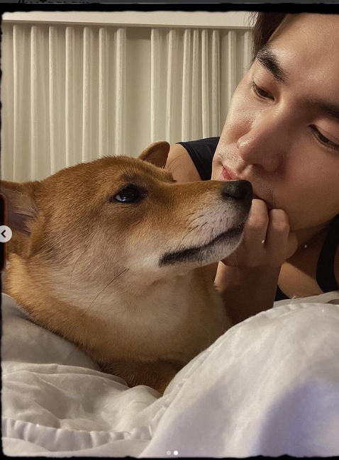 張書豪和柴犬合照，房間背景與歐陽妮妮相同。 （圖／翻攝自臉書）