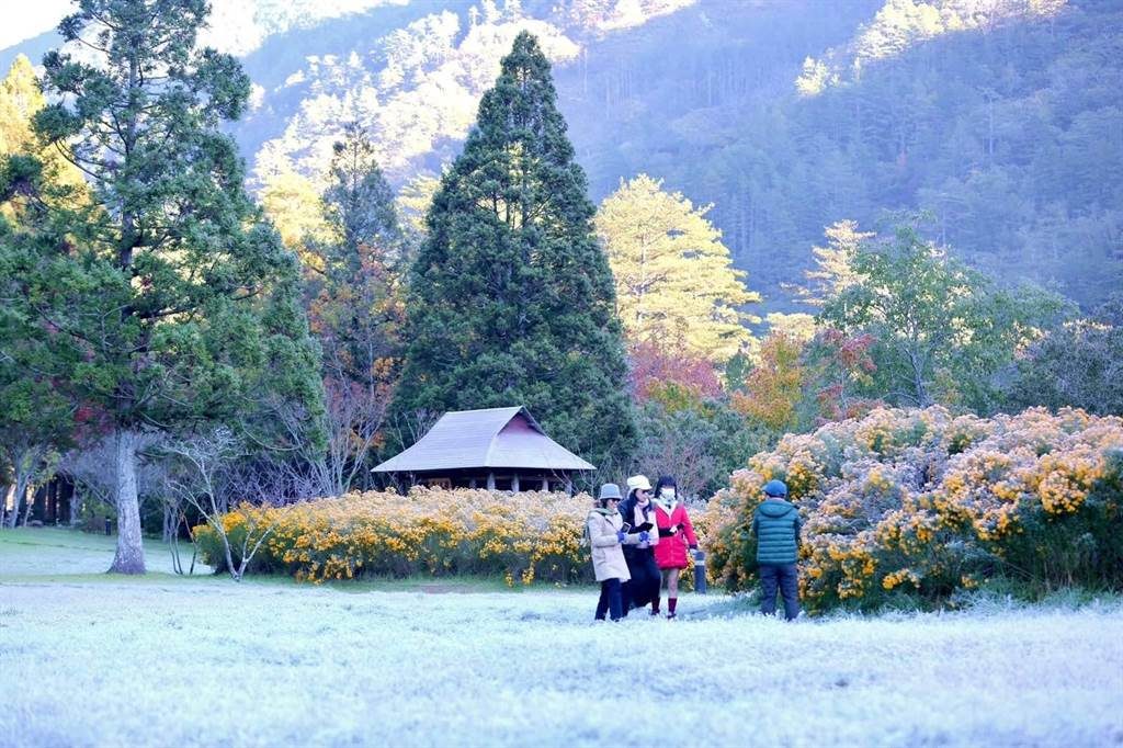 ▲在武陵農場住宿的旅客，一早外出時也被這樣的景色震驚住。（圖／武陵農場提供）