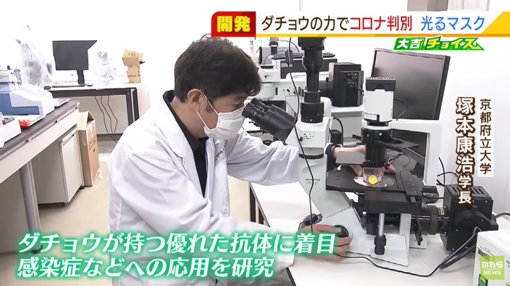 京都府立大學校長塚本康浩近日帶領團隊,利用「鴕鳥抗體」發明出一種可偵測新冠病毒的口罩,只要用紫外線燈一照,沾有新冠病毒的地方就會發光。(圖/翻攝自《MBS新聞資訊》YouTube)