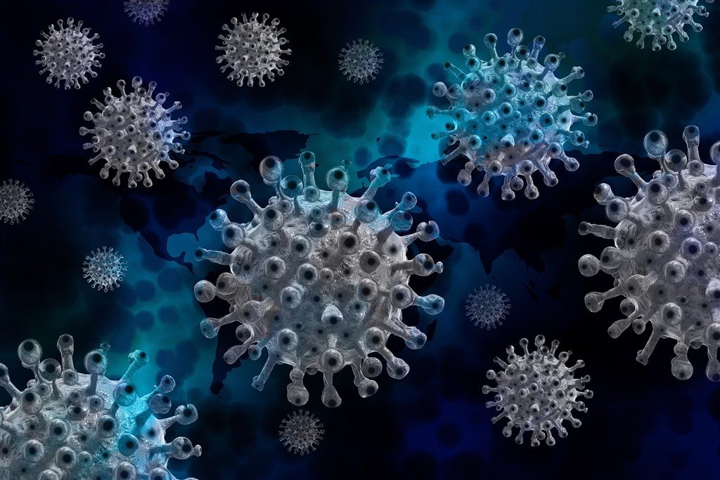 大陸宣布河南出現首例H3N8禽流感確診病例，1名4歲男童發病5天即重症住院。（示意圖／Pixabay）