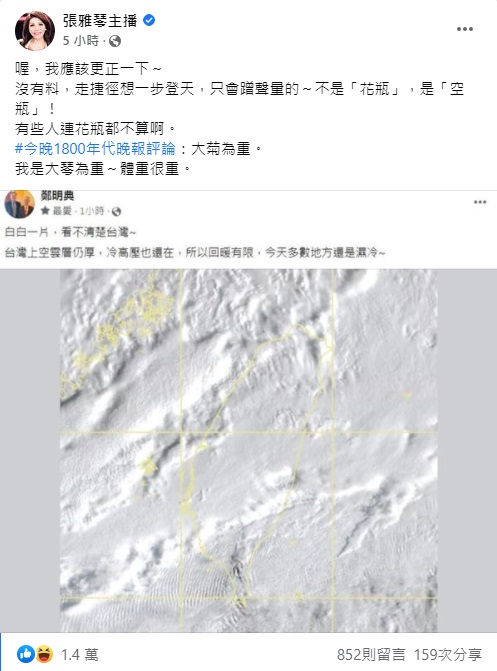 張雅琴也在臉書上發文替「花瓶真的很殘破」的言論進一步解釋。（圖／截自張雅琴臉書）