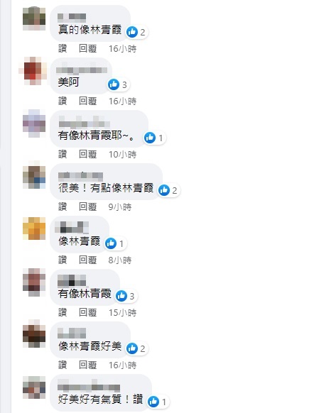 網友留言全部都稱讚王鴻薇神似林青霞。（圖／王鴻薇臉書）  