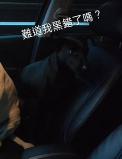 歐告在此 （ 網友/陳宗陽授權提供 ）