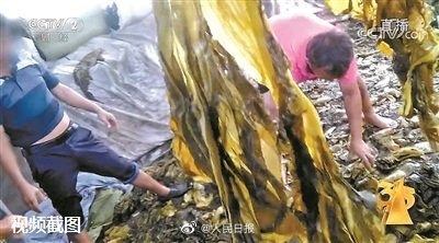 工人光腳踩在酸菜堆上。（圖／翻攝自微博）