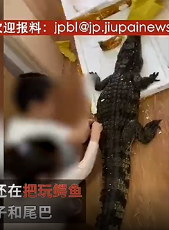 鱷魚復活前，買家的孩子還在一旁逗弄牠。（圖／翻攝自微博）