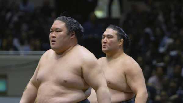 將近200公斤的相撲力士互撞，也被選手笑稱是「車禍現場」。（圖／台北双喜電影提供）