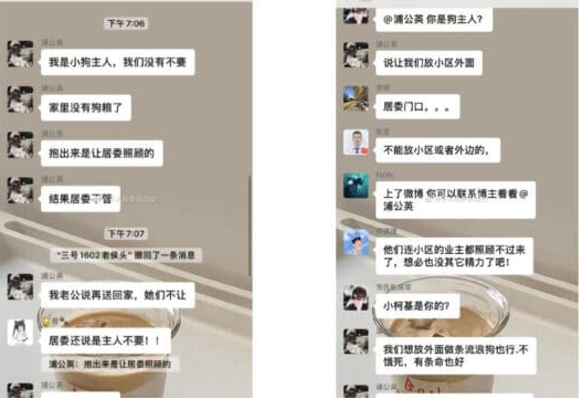  柯基主人對話截圖（圖截自微信群組＠基情四射上海科基群） 