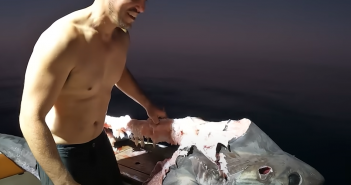 澳洲男釣到一隻喪屍鯊魚。（圖／翻攝自YouTube）