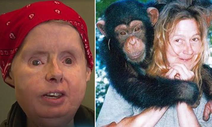 查拉與閨蜜扶養14年的黑猩猩特拉維斯感情極好，沒想到卻遭對方襲擊毀容。（圖／翻攝自推特）