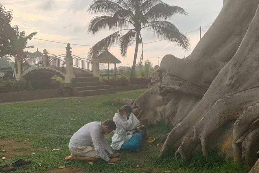 事後，法茲利瓦和老公返回這棵聖樹前下跪懺悔。（圖／翻攝自推特）