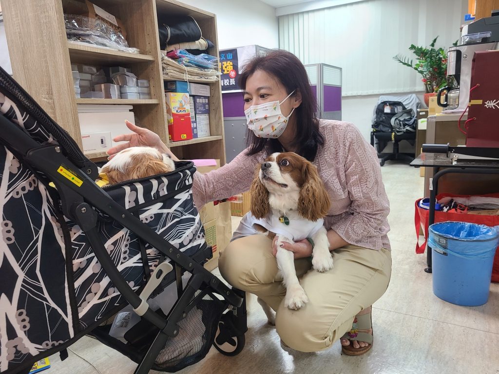 游淑慧不捨羅智強的幅幅和花花（攝自游淑慧臉書）