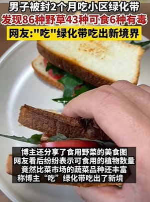 一名網友在社區發現43種可食用野菜，決定將菜夾進三明治爽嗑。（圖／翻攝自微博）