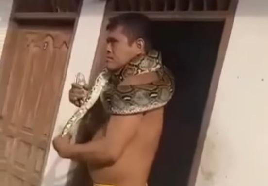 一名大叔將蛇纏在脖子上把玩，結果差點出事。（圖／翻攝自IG）