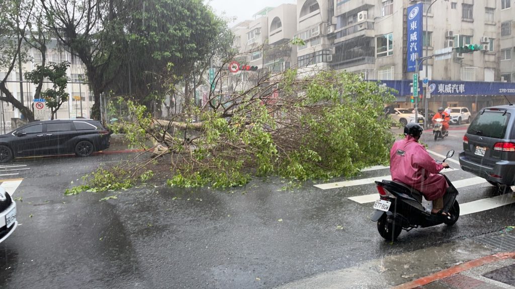 北市今（25）日遭午後雷陣雨狂襲，導致松山區一棵路樹發生倒塌意外。（圖／中天新聞）