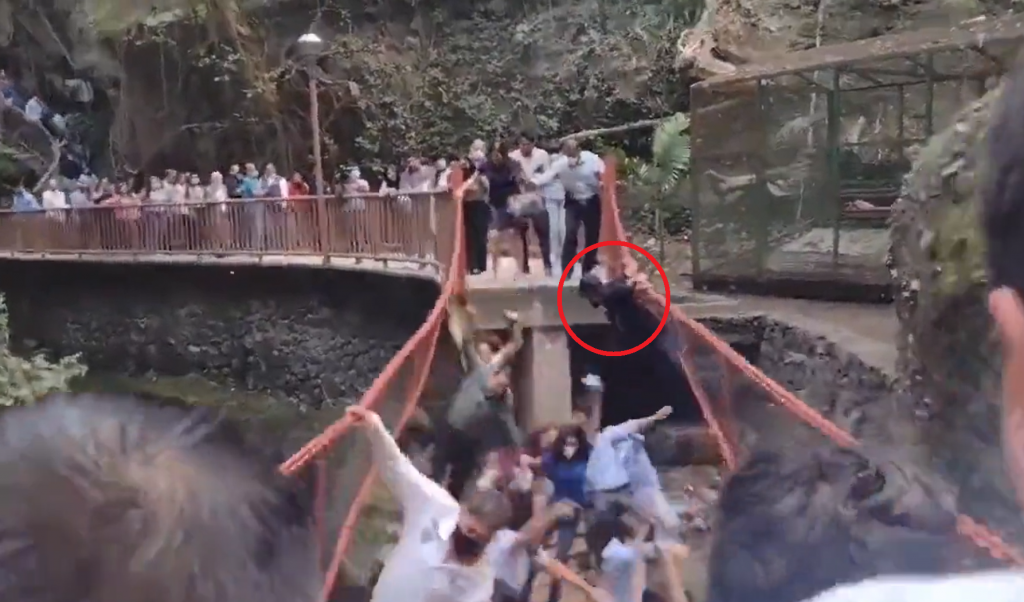 墨西哥一處溪上吊橋，6月7日舉行啟用典禮時不幸崩塌，造成數10人狠狠墜落溪谷。（圖／翻攝自推特／@DavidWolf777）