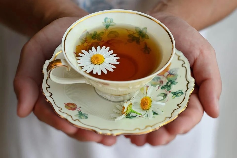 喝熱的薄荷茶或是菊花茶,也有助於疏散風熱 圖/Pixabay