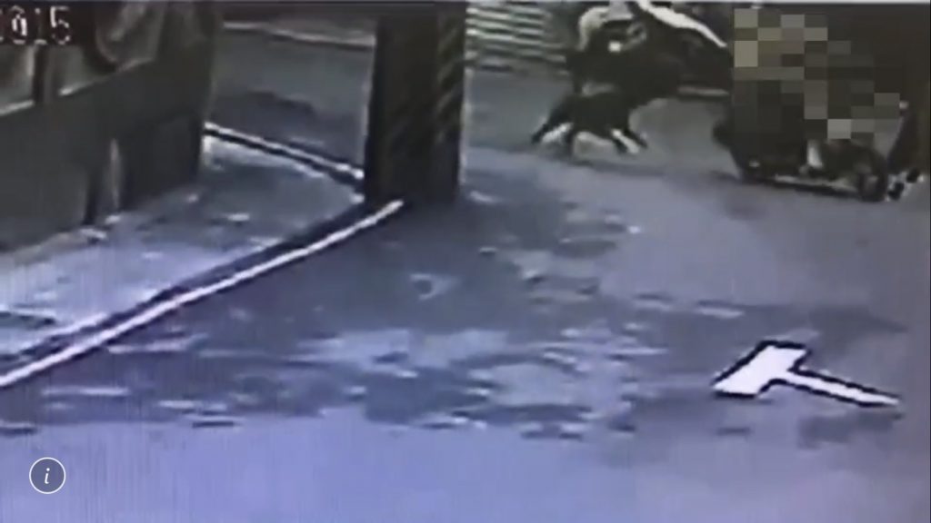 飼主未將黑狗繫繩約束導致狂追機車遭罰款。警方提供