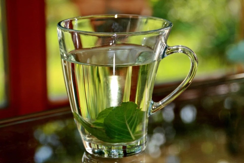 喝熱的薄荷茶或是菊花茶,也有助於疏散風熱 圖/Pixabay