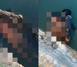 墨西哥公園內出現1具男浮屍，且被鱷魚叼著游。（圖／翻攝自@neekocidio推特）
