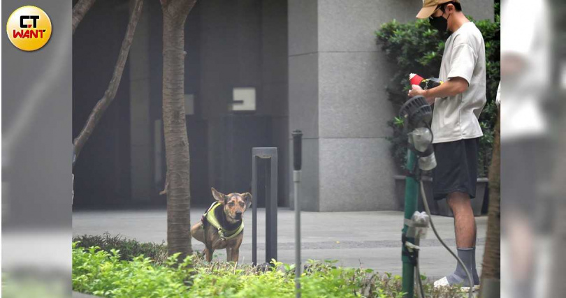 不管工作都忙，李國毅都會抽空帶狗狗散步放風。（圖／本刊攝影組）