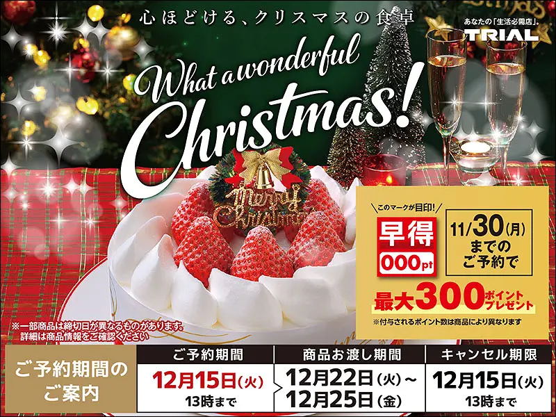 2026クリスマス（ケーキ）