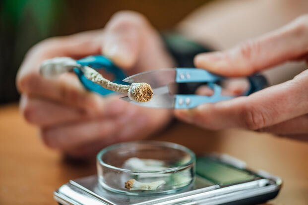 'Major Step': New Law Would Prep VA for FDA-Approved Psychedelic Treatments