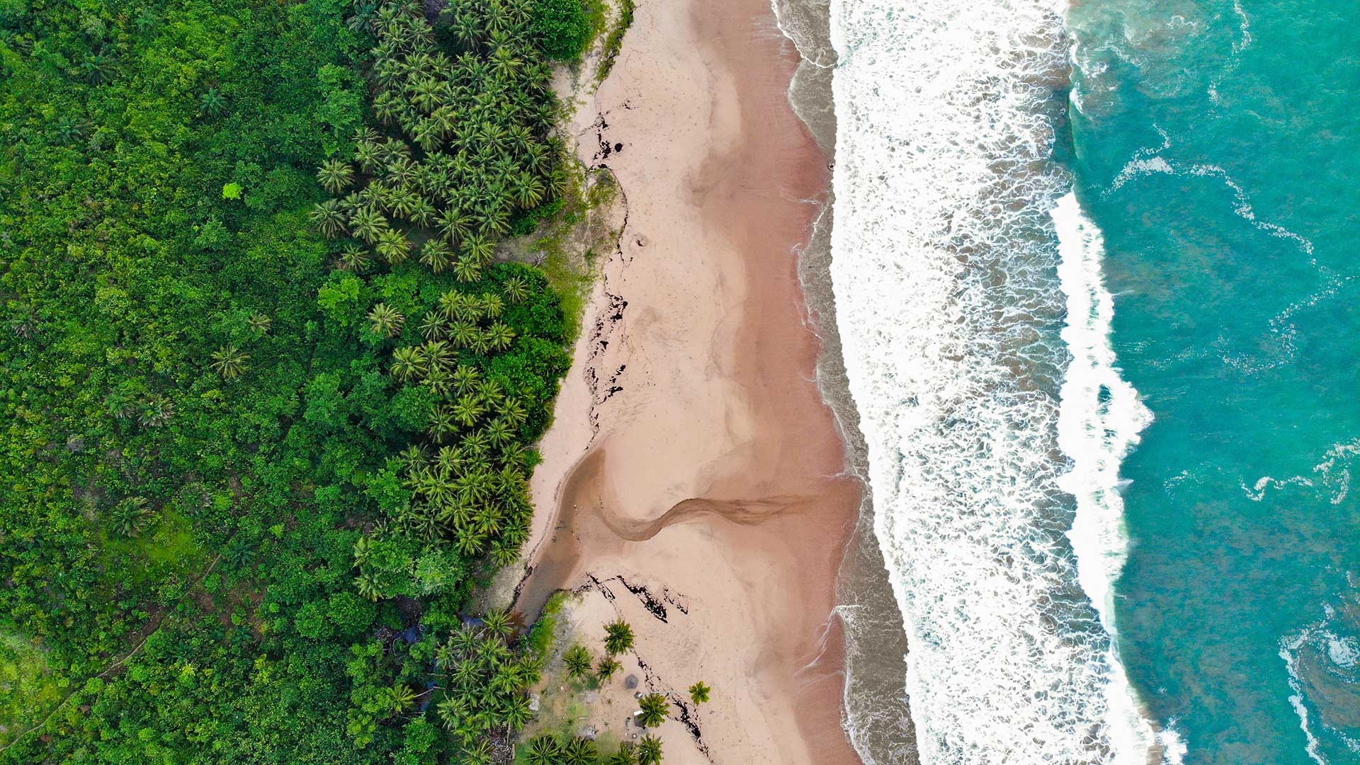 Palm-lined beach on Ghana's Volta River Delta
