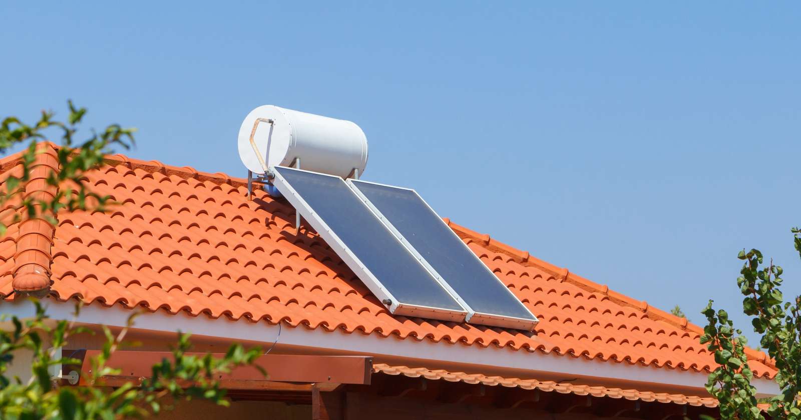 Service Image