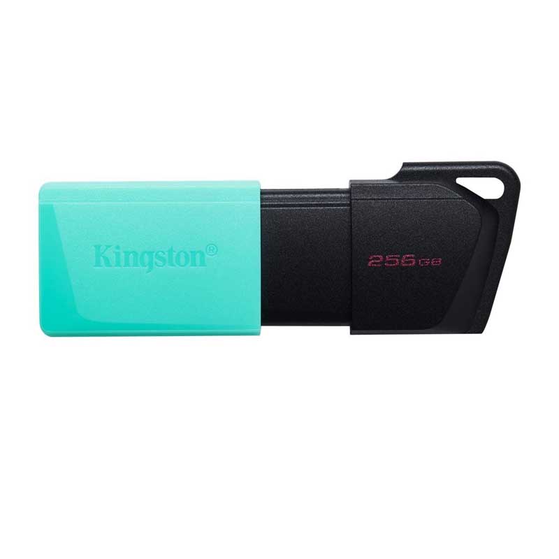 Memoria USB 256GB Kingston 