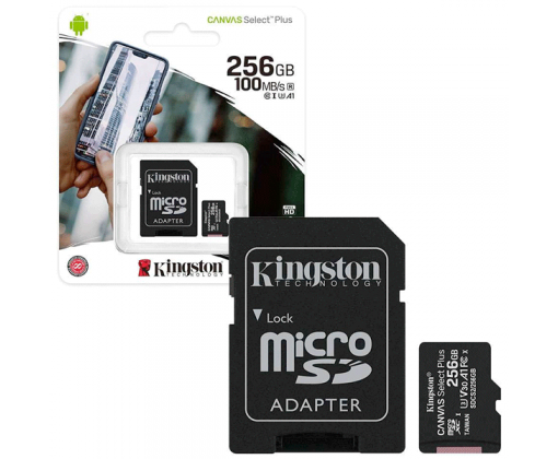 Memoria Micro SD 256GB Kingston 