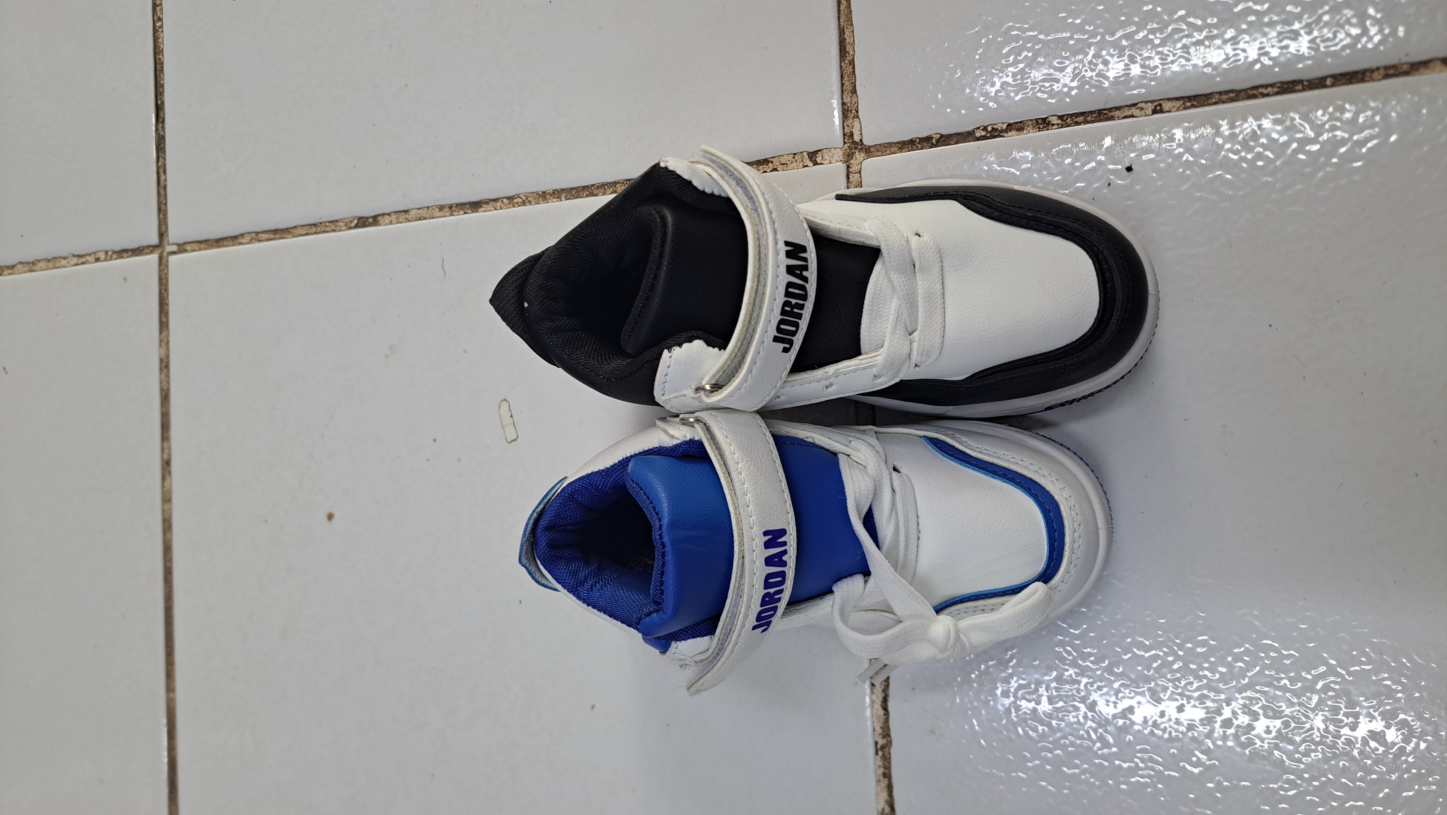Tenis  - MISS BELLA ZAPATERIA