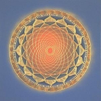 Gaia Bergamaschi Gaia Bergamaschi