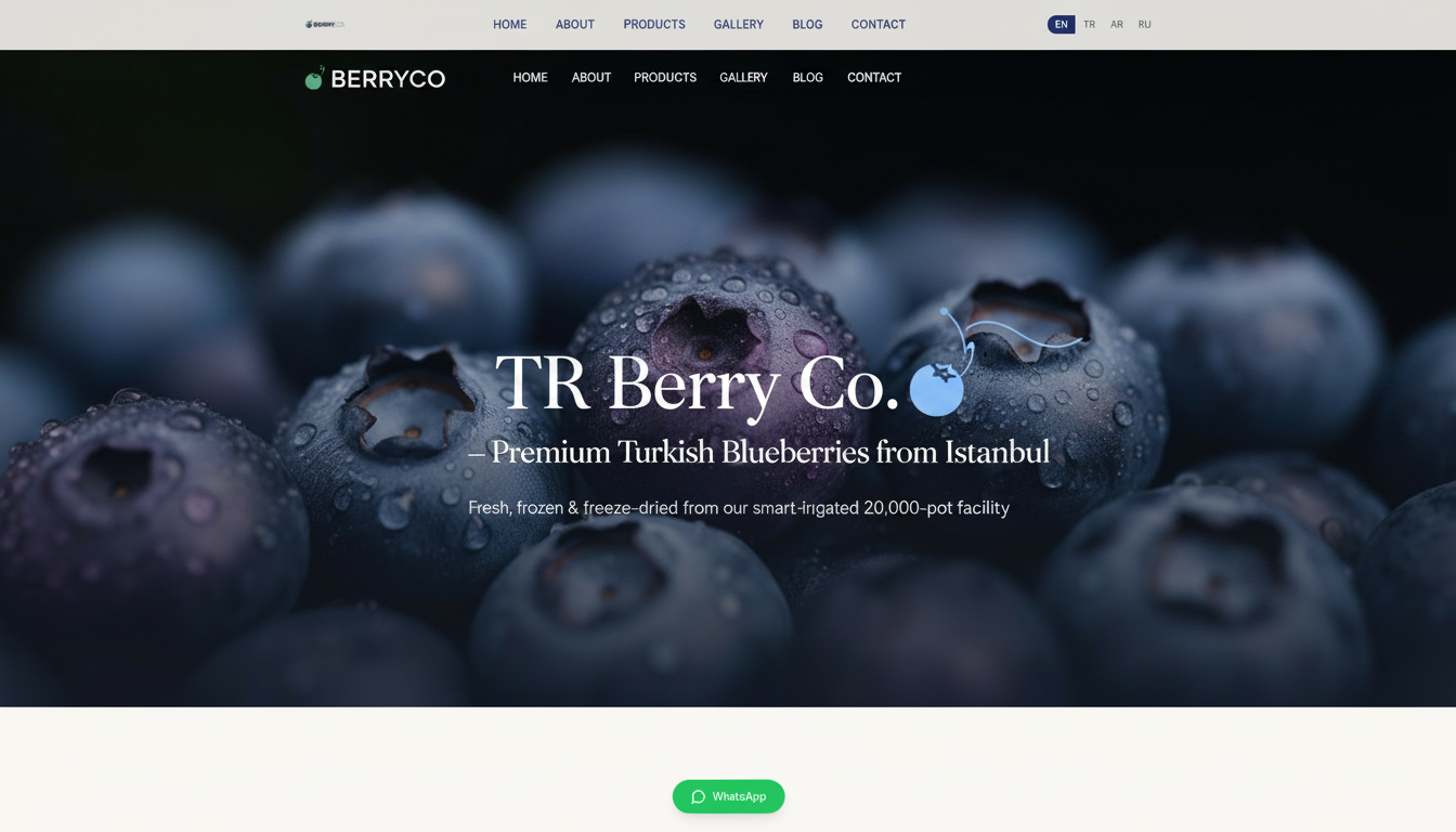 TR Berry Co. — Premium Turkish Blueberries from Istanbul