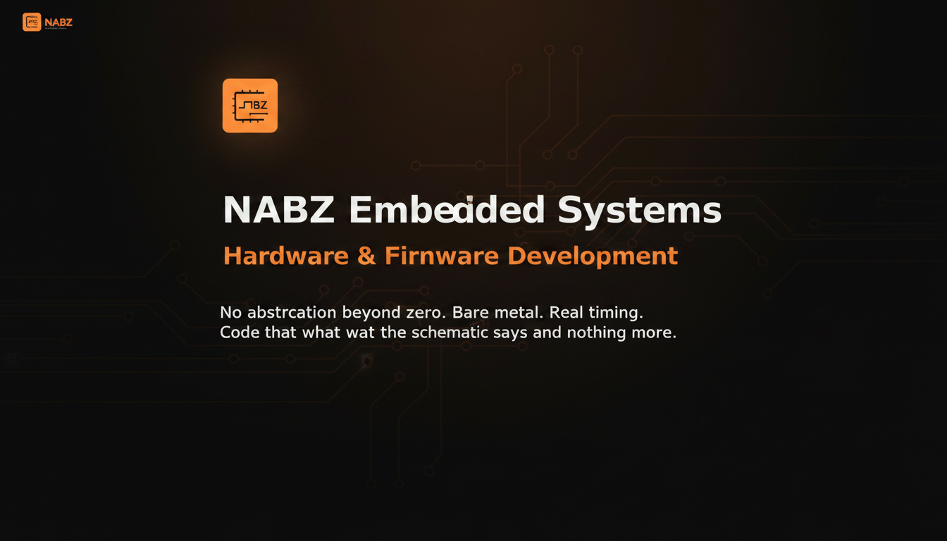 NABZ Embedded Systems — Hardware & Firmware Development